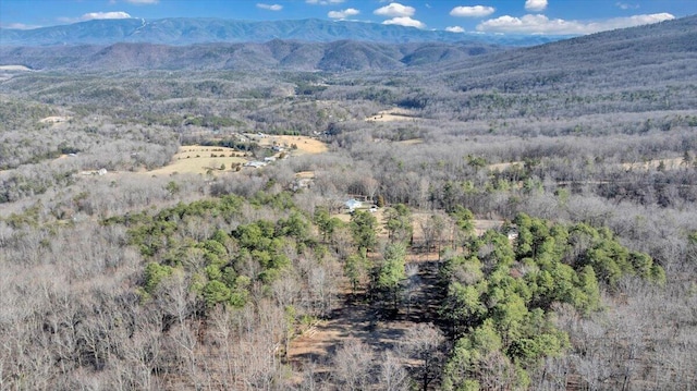 2534 Paris Mountain Rd, Elliston, VA 24087 - view of mountain backdrop featuring a forest