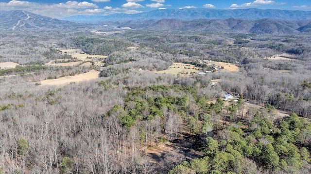 2534 Paris Mountain Rd, Elliston, VA 24087 - mountain view with a forest