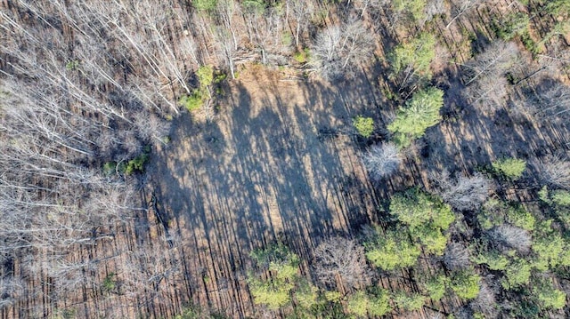 2534 Paris Mountain Rd, Elliston, VA 24087 - aerial overview of property's location