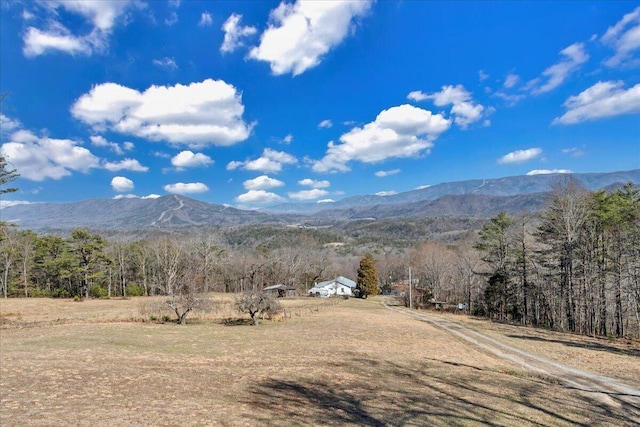 2534 Paris Mountain Rd, Elliston, VA 24087 - view of mountain backdrop with a heavily wooded area