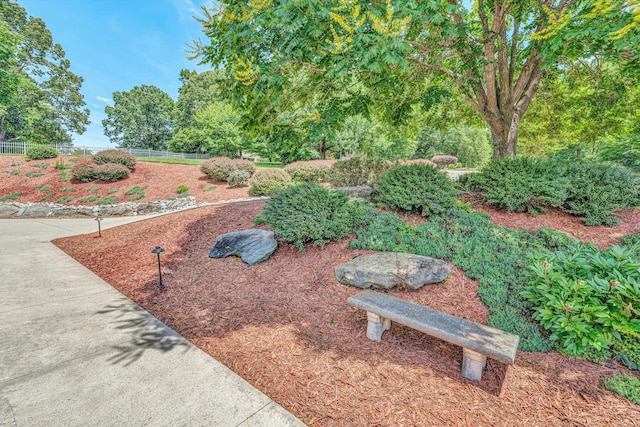 325 Bull Run Trl, Penhook, VA 24137 - view of yard