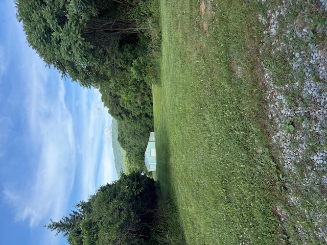 2612 Webster Rd, Roanoke, VA 24012 - view of yard