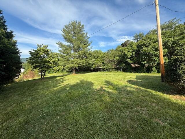 2612 Webster Rd, Roanoke, VA 24012 - view of green lawn