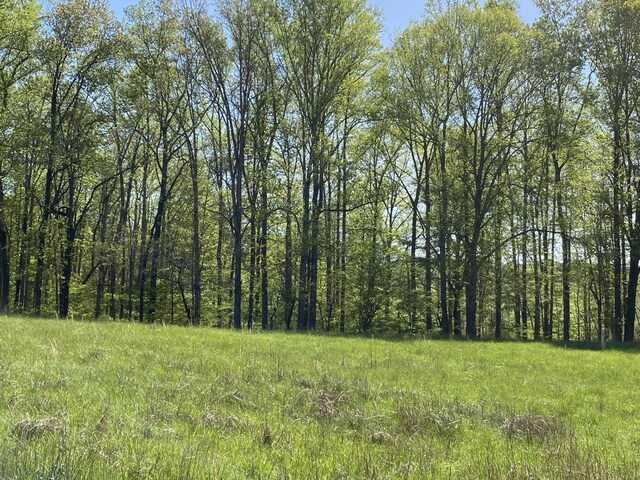 LOT46 Crestview Rd, Wirtz, VA 24184