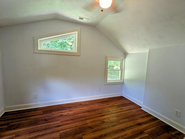 221 Camp Creek Rd NW, Riner, VA 24149 - additional living space featuring dark wood-style flooring, healthy amount of natural light, and vaulted ceiling