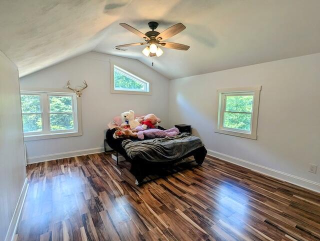 221 Camp Creek Rd NW, Riner, VA 24149 - bedroom with wood finished floors, vaulted ceiling, and a ceiling fan