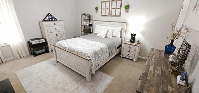 2610 Plantation Rd NE, Roanoke, VA 24012 - bedroom featuring light carpet