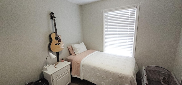 2610 Plantation Rd NE, Roanoke, VA 24012 - bedroom with multiple windows