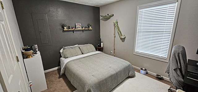 2610 Plantation Rd NE, Roanoke, VA 24012 - bedroom featuring carpet floors and multiple windows