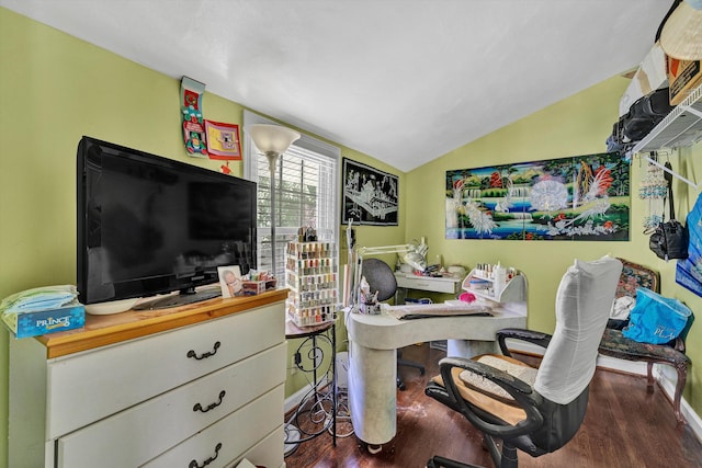 3653 Bunker Hill Dr, Roanoke, VA 24018 - office space featuring lofted ceiling and wood finished floors