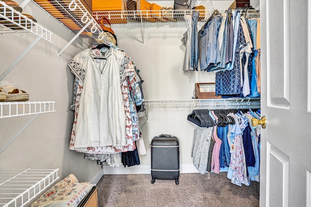 1258 Colby Dr, Forest, VA 24551 - spacious closet featuring carpet flooring