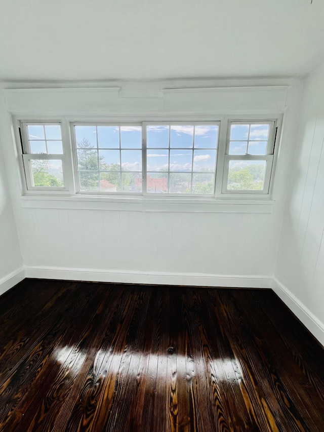 1138 Murray Ave SE, Roanoke, VA 24013 - spare room featuring dark wood-style floors and plenty of natural light