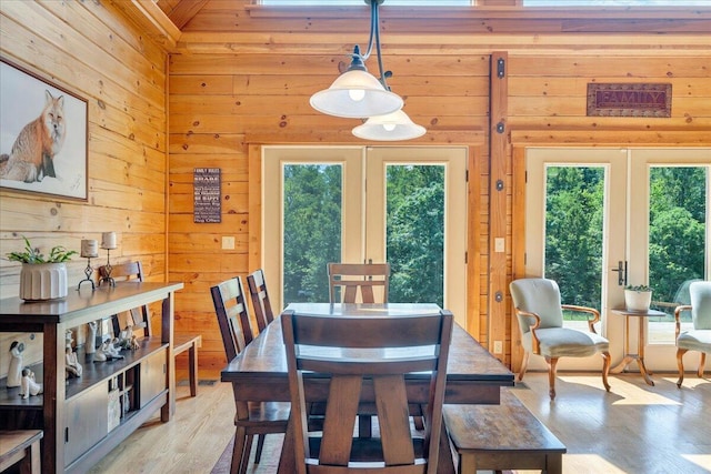 1769 Scenic View Rd, Moneta, VA 24121 - dining space featuring french doors, wooden walls, healthy amount of natural light, and light wood-style flooring