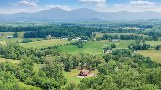 1769 Scenic View Rd, Moneta, VA 24121 - overview of rural landscape featuring a mountain backdrop