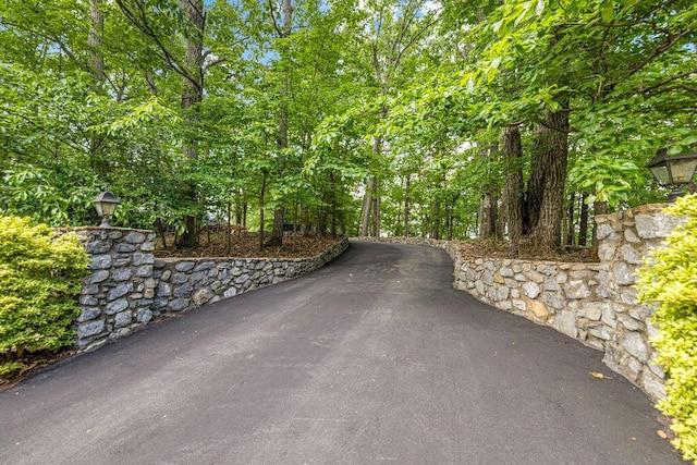 420 Cresthill Rd, Lynchburg, VA 24504 - view of asphalt driveway with street lights