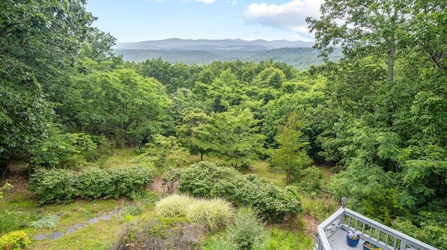 420 Cresthill Rd, Lynchburg, VA 24504 - view of mountain backdrop featuring a heavily wooded area