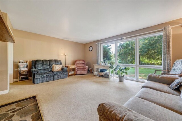 404 Robin Ridge Rd, Rocky Mount, VA 24151 - view of carpeted living room