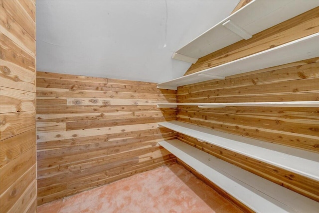 404 Robin Ridge Rd, Rocky Mount, VA 24151 - storage area featuring a sauna / steam room
