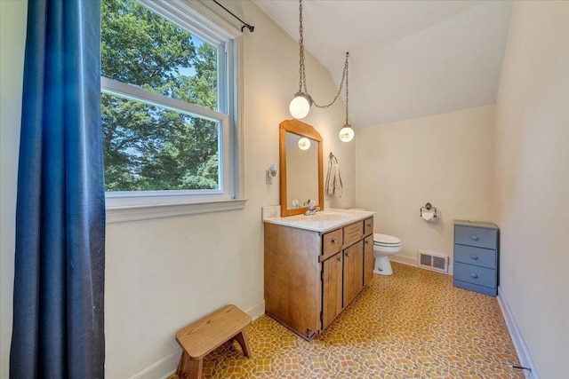 404 Robin Ridge Rd, Rocky Mount, VA 24151 - bathroom with plenty of natural light, lofted ceiling, and vanity