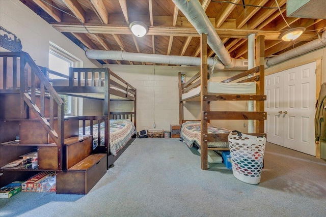 404 Robin Ridge Rd, Rocky Mount, VA 24151 - bedroom featuring carpet flooring