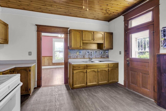 610 18th St SE, Roanoke, VA 24013 - kitchen with range, wooden ceiling, dark wood-type flooring, light countertops, and wainscoting