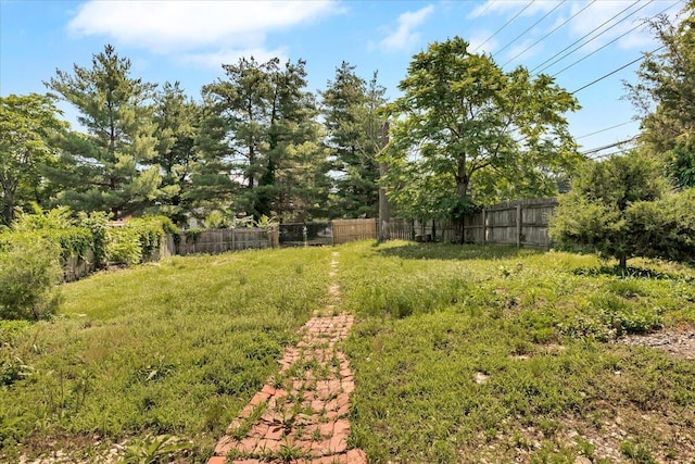 610 18th St SE, Roanoke, VA 24013 - view of yard