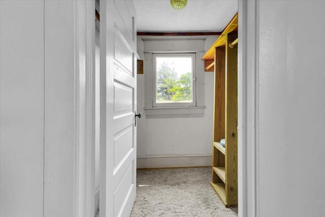 610 18th St SE, Roanoke, VA 24013 - spacious closet featuring carpet flooring