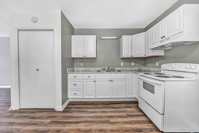 112 Harrison Ave NW, Roanoke, VA 24016 - kitchen featuring electric range, under cabinet range hood, white cabinets, and dark wood-style flooring