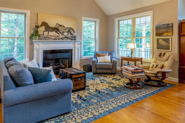 115 Armistead Ln, Rustburg, VA 24588 - living area with wood finished floors, vaulted ceiling, and a tiled fireplace