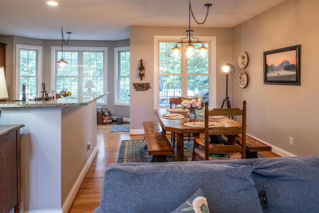 115 Armistead Ln, Rustburg, VA 24588 - dining room with light wood-style floors, plenty of natural light, a chandelier, and recessed lighting
