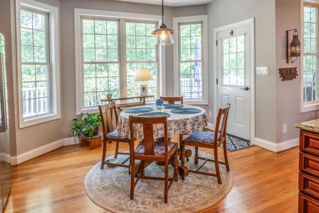 115 Armistead Ln, Rustburg, VA 24588 - dining space featuring baseboards and light wood-style floors