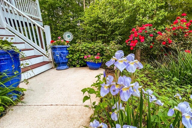 115 Armistead Ln, Rustburg, VA 24588 - view of patio with stairs