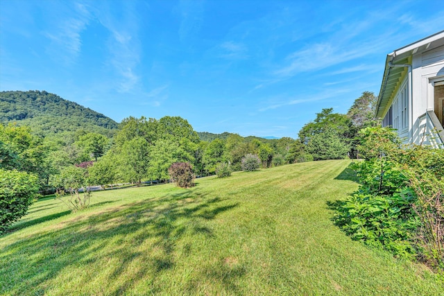 6820 Dawnwood Rd, Roanoke, VA 24018 - view of green lawn with a view of trees