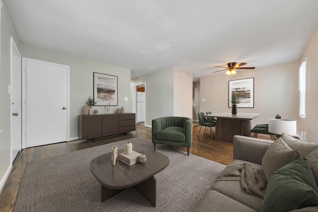 309 Mcclelland St, Salem, VA 24153 - living area with wood finished floors and a ceiling fan