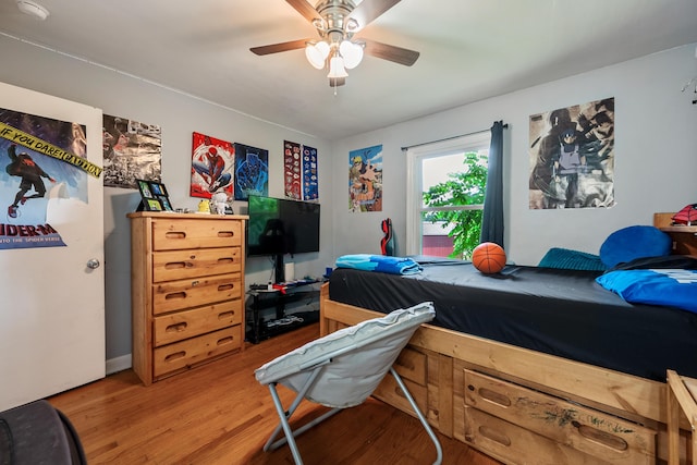 473 Hemlock Rd, Salem, VA 24153 - bedroom featuring light wood-style flooring and ceiling fan