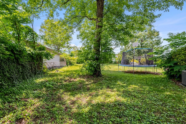 473 Hemlock Rd, Salem, VA 24153 - view of green lawn featuring a trampoline
