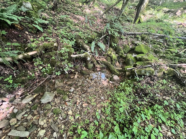 0 Macks Mountain Rd NW, Indian Valley, VA 24105