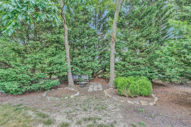 1941 Springmill Rd, Salem, VA 24153 - view of yard