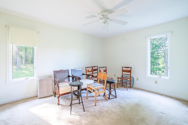 75 Eleanor Ln, Blue Ridge, VA 24064 - living area with plenty of natural light, carpet floors, and ceiling fan