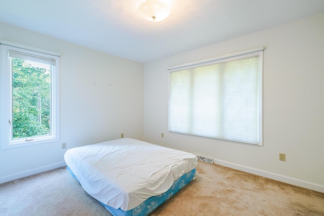 75 Eleanor Ln, Blue Ridge, VA 24064 - carpeted bedroom with baseboards