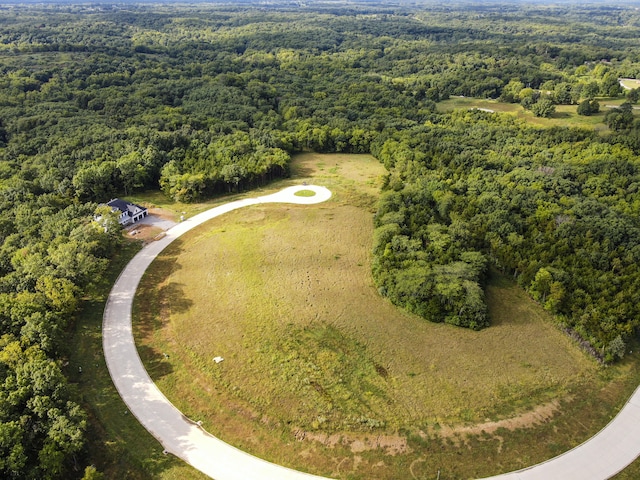 LOT139 Clear Creek Ests, Columbia, MO 65203 - photo 11