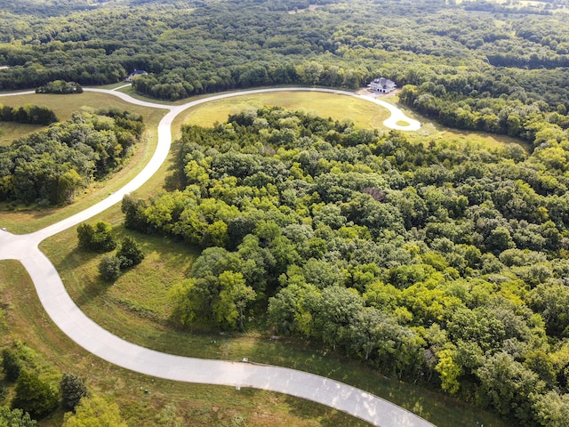 LOT139 Clear Creek Ests, Columbia, MO 65203 - photo 16