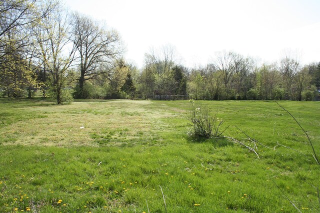 1312 N Lake Of The Wood Rd, Columbia, MO 65202 - view of yard