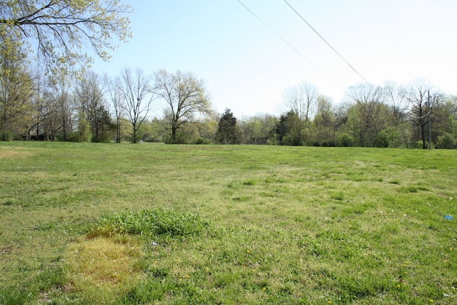view of nature