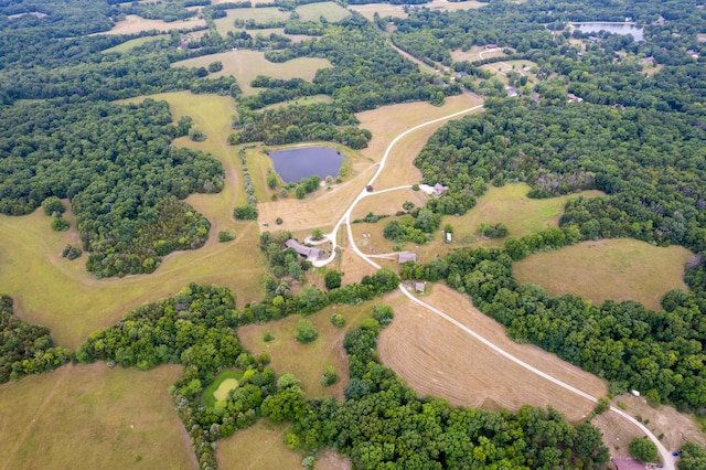 view of bird's eye view