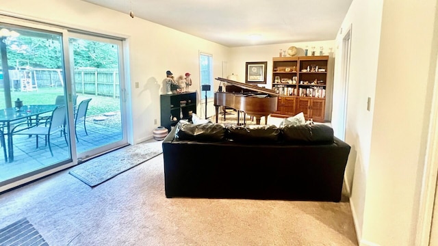 240 N Broadview Ct, Columbia, MO 65201 - living area with carpet
