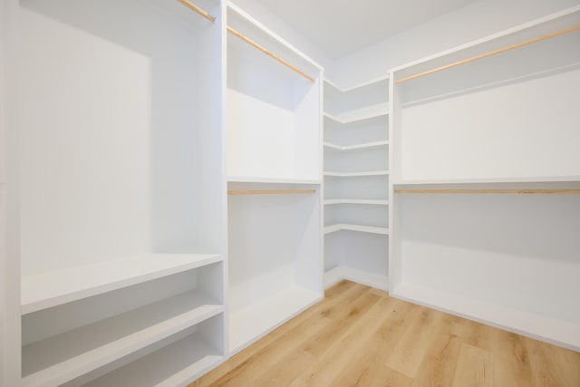 spacious closet featuring wood finished floors