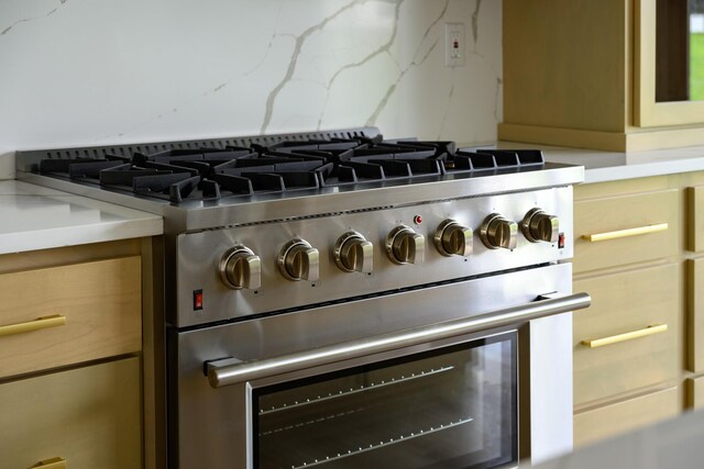 details with light stone countertops, decorative backsplash, and stainless steel range