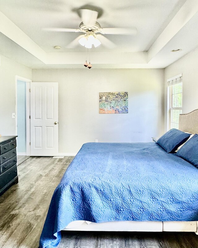 bedroom with hardwood / wood-style floors, ceiling fan, and a tray ceiling