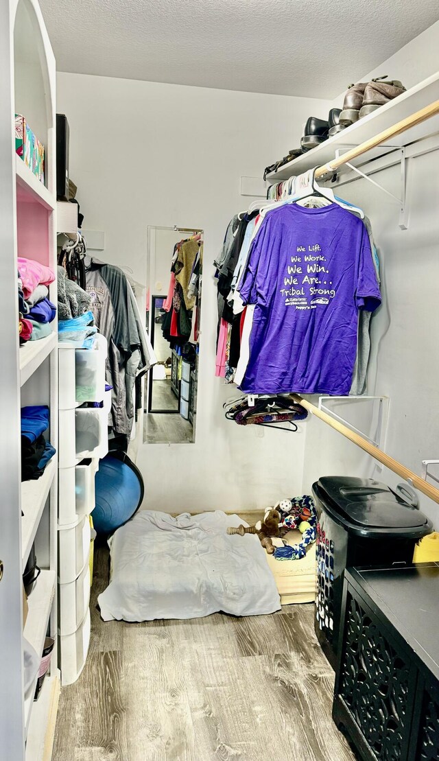 walk in closet with wood-type flooring